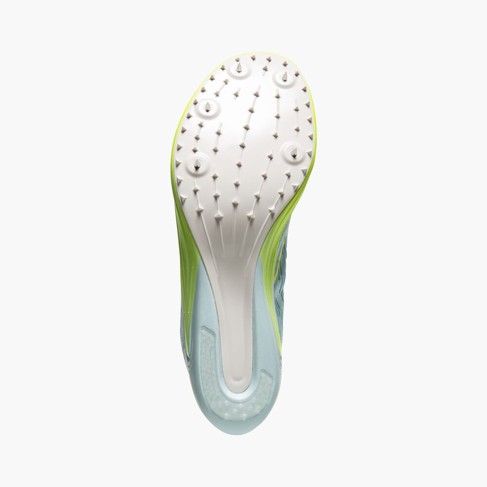 Women's Wire 8 - Blue Glow/Nightlife/Red