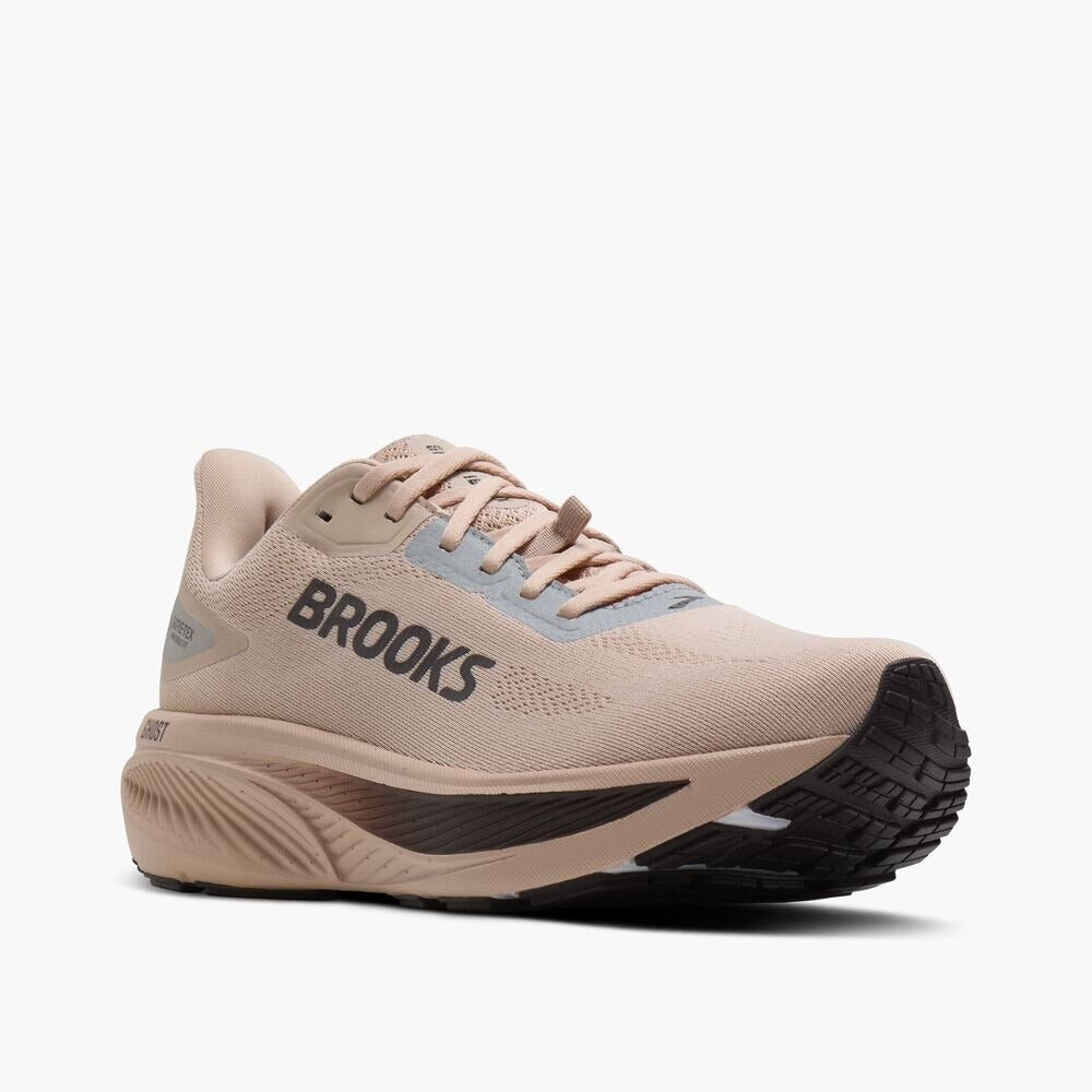 Women's Ghost 18 GTX - Rose Dust/Raisin